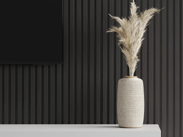 Lamele negre în cameră