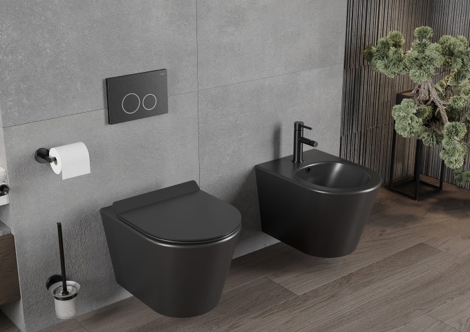 Containere și perii pentru WC negre