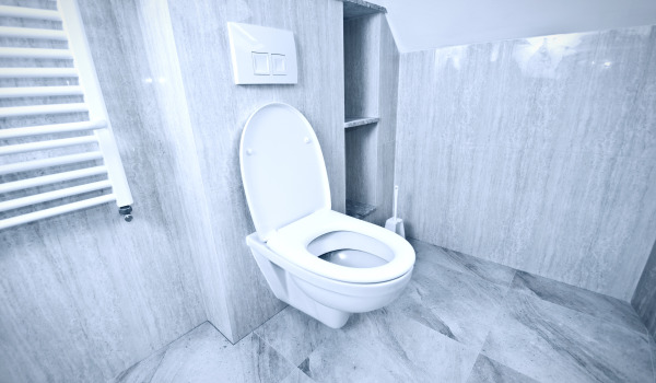 Ce cadru încastrat pentru WC să alegi?