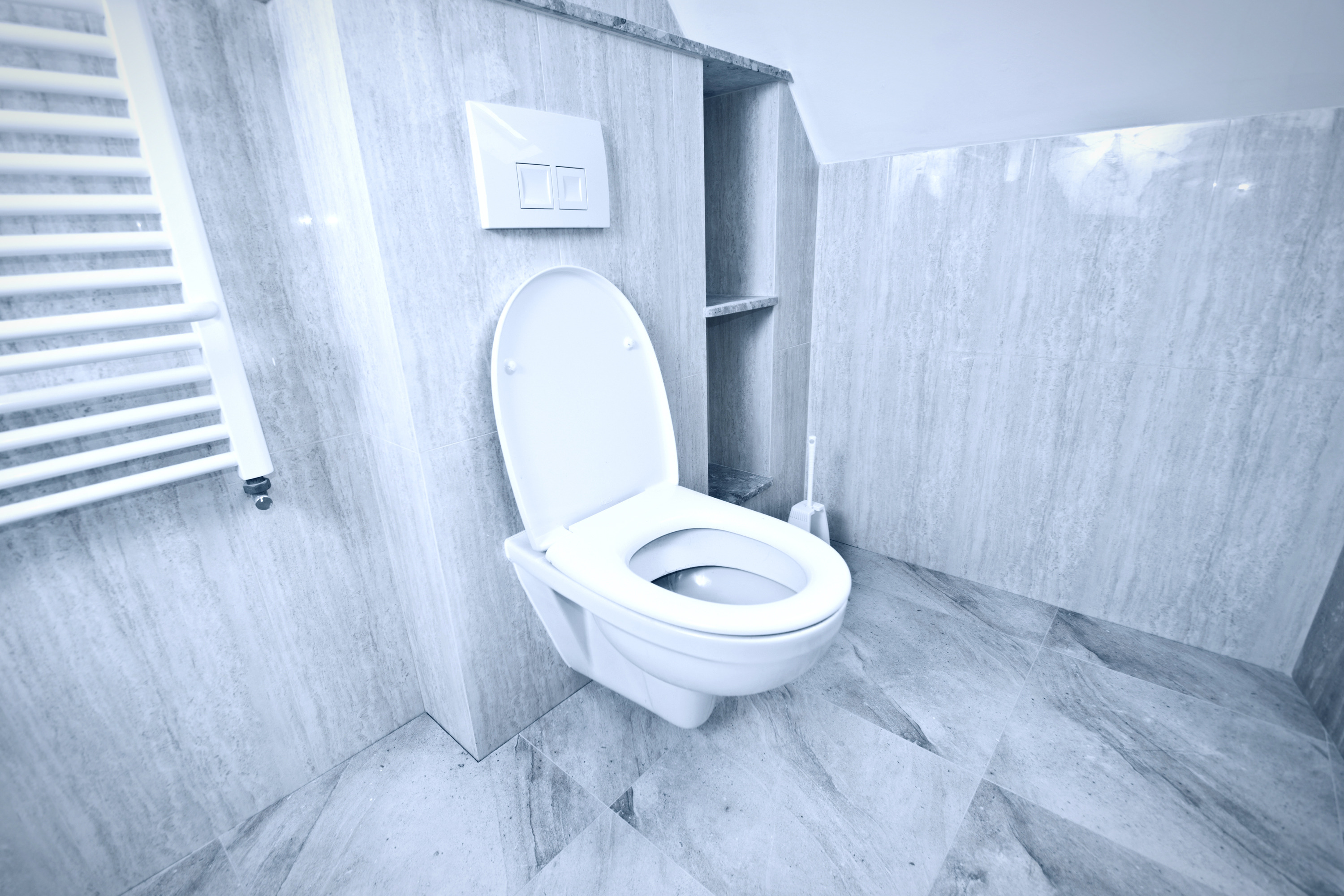 Ce cadru încastrat pentru WC să alegi?