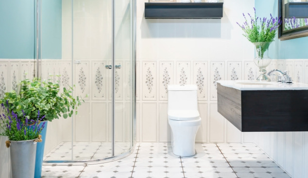 Cadă de duș semirotundă - ce este important?