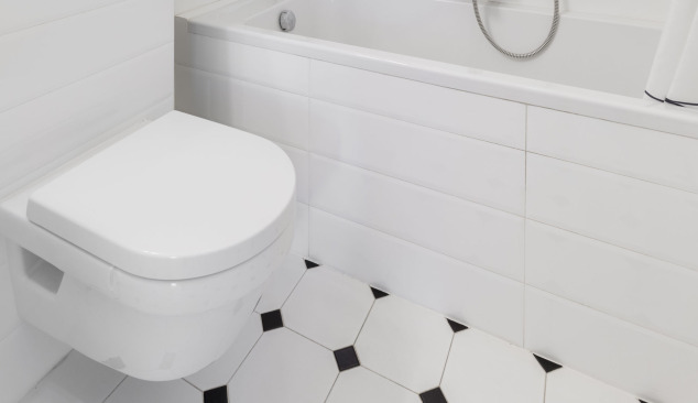 Vas de toaletă suspendat sau pe podea