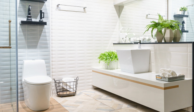 Vas WC - este mai bine să fie de podea sau suspendat?