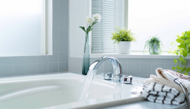 La ce să fii atent atunci când cumperi o cadă?