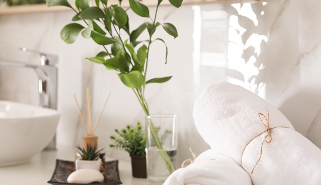Ce plante pot fi așezate în baie?