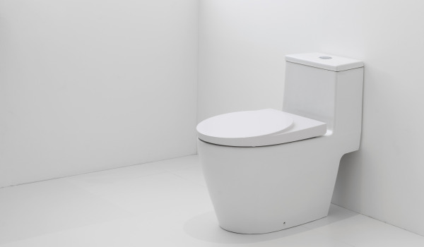 Cum să potrivești vasul WC cu decorul?