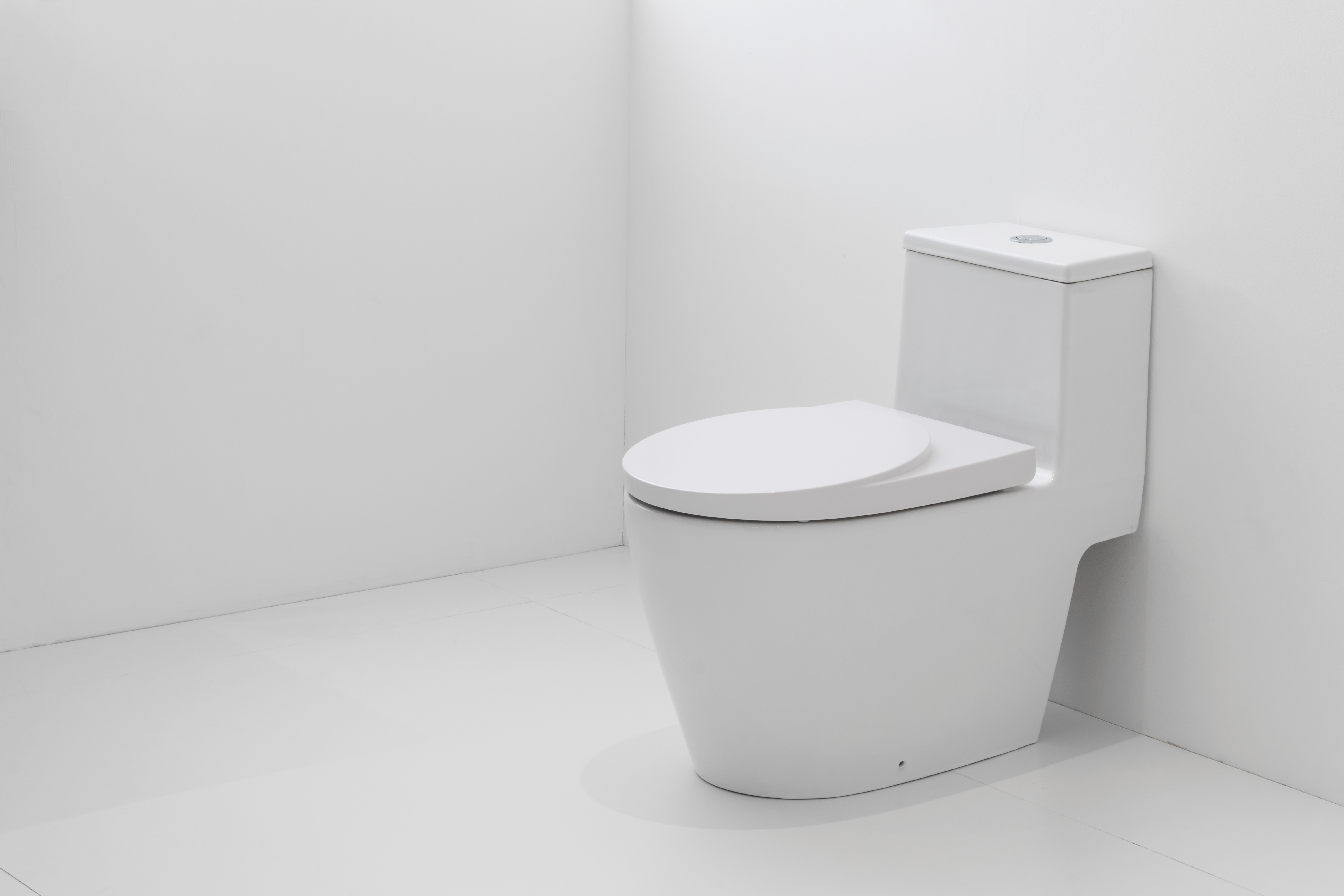Cum să potrivești vasul WC cu decorul?